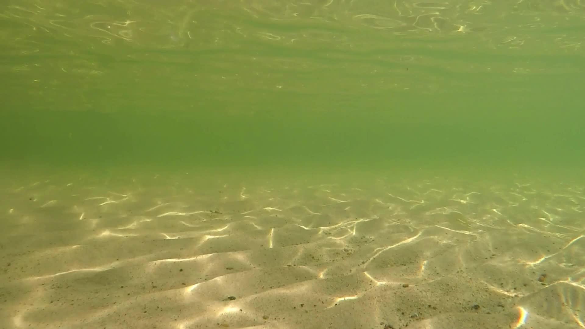 水下浅水反射视频的预览图