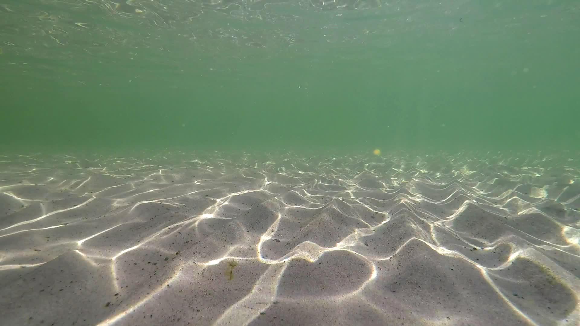 水下浅水反射视频的预览图