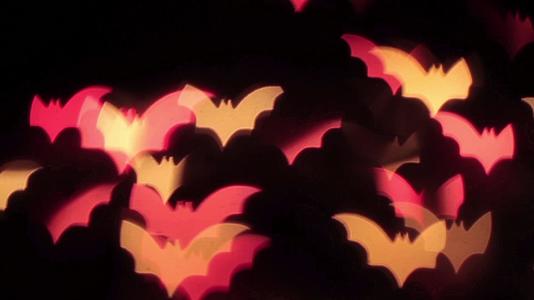 在黑色背景hd多色蝙蝠的外观视频的预览图