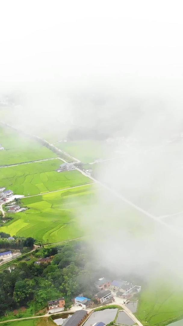 航拍湖南南部小镇穿越云雾视频的预览图