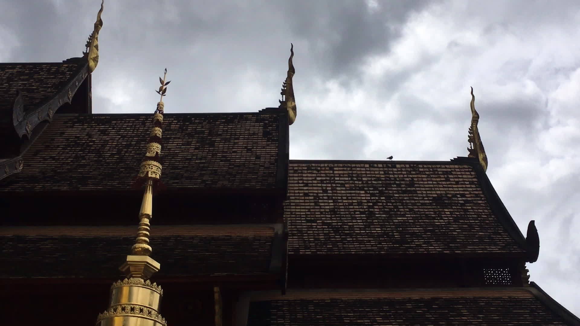 塔伊寺ThaipublicThai庙的PhraSingha视频的预览图