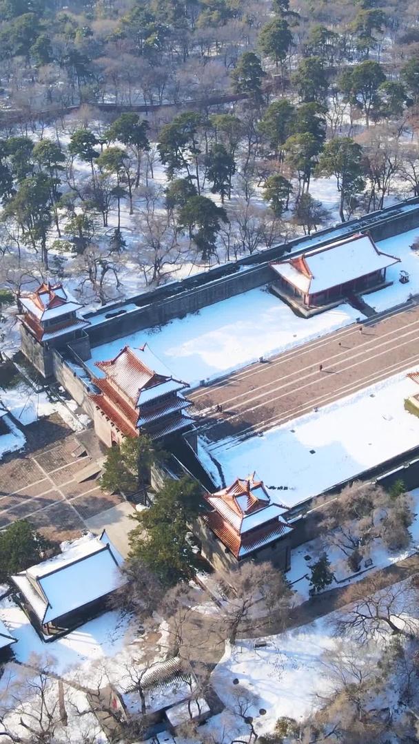 俯瞰航拍历史遗迹盛京东陵公园雪景视频的预览图