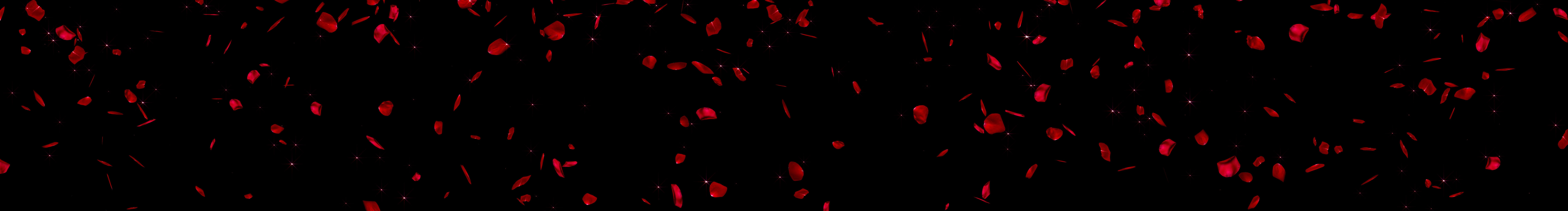 超宽屏红色花瓣飘落舞台背景视频的预览图