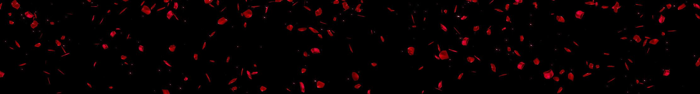 超宽屏红色花瓣飘落舞台背景视频的预览图