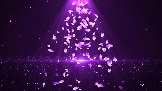 紫色下落扩散粒子花瓣4k视频的预览图