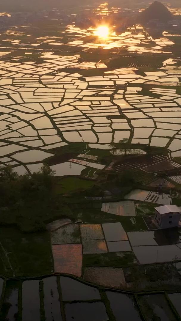【农业宣传片】广西航拍桂林会仙湿地集合视频的预览图