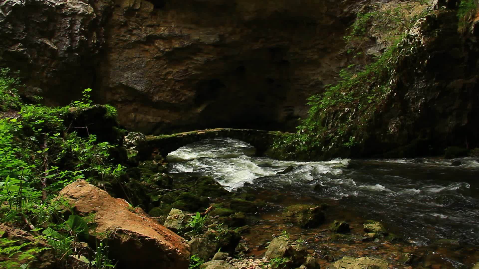 小溪在自然中流动视频的预览图
