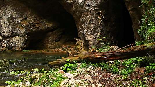小溪和山洞视频的预览图