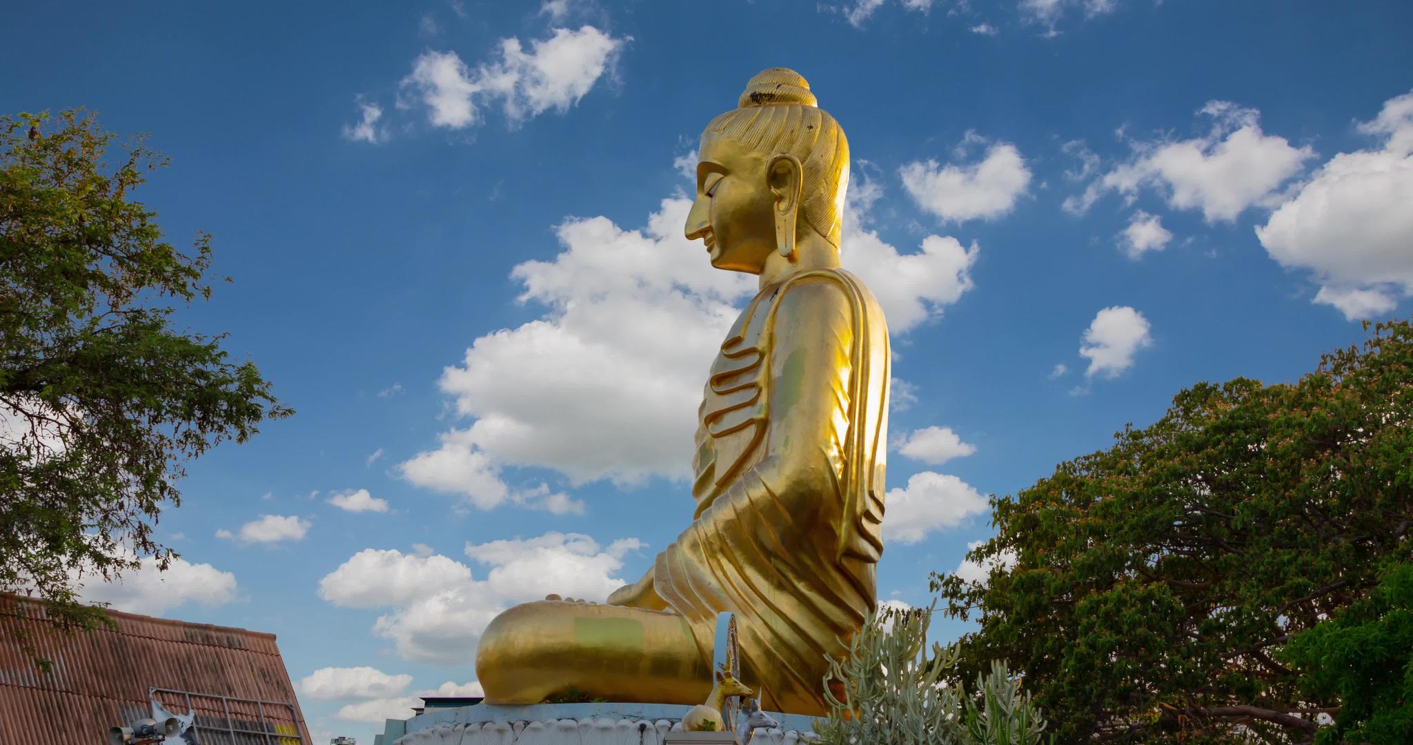 金芽雕像视频的预览图