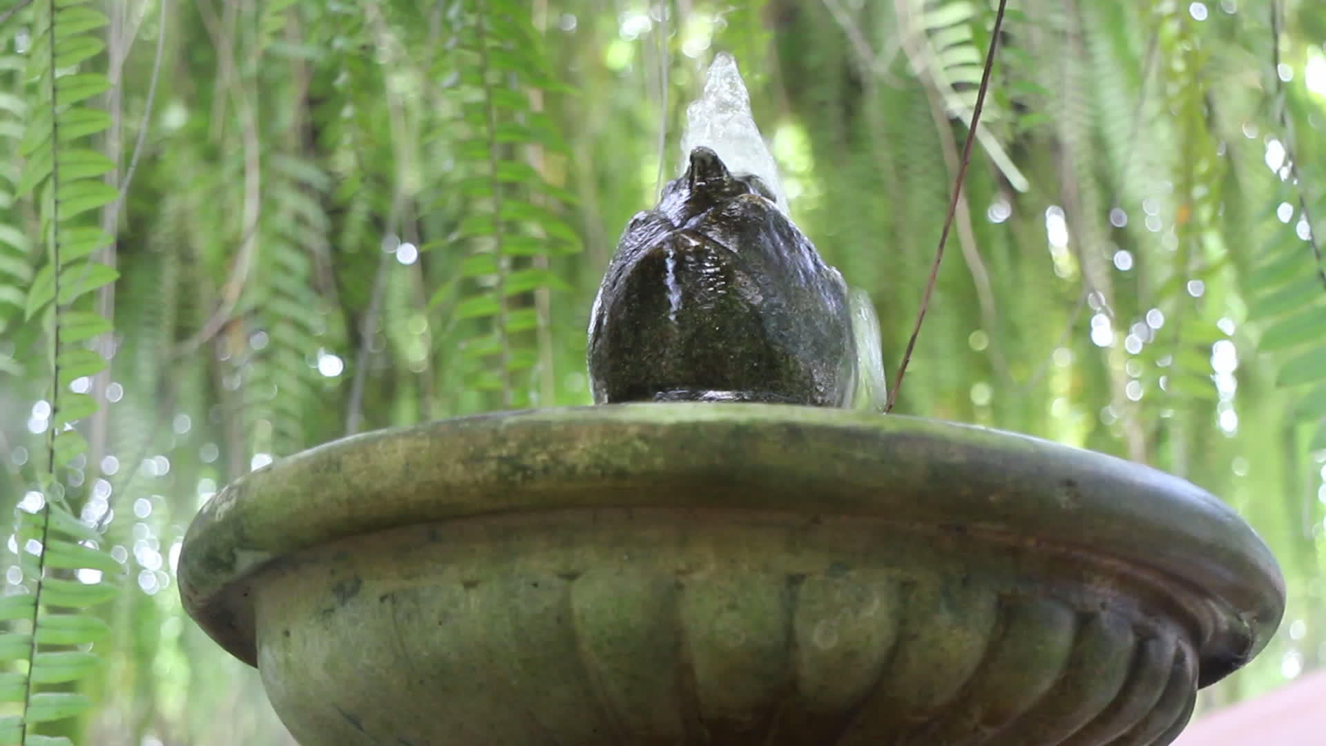 古老的花园喷泉视频的预览图