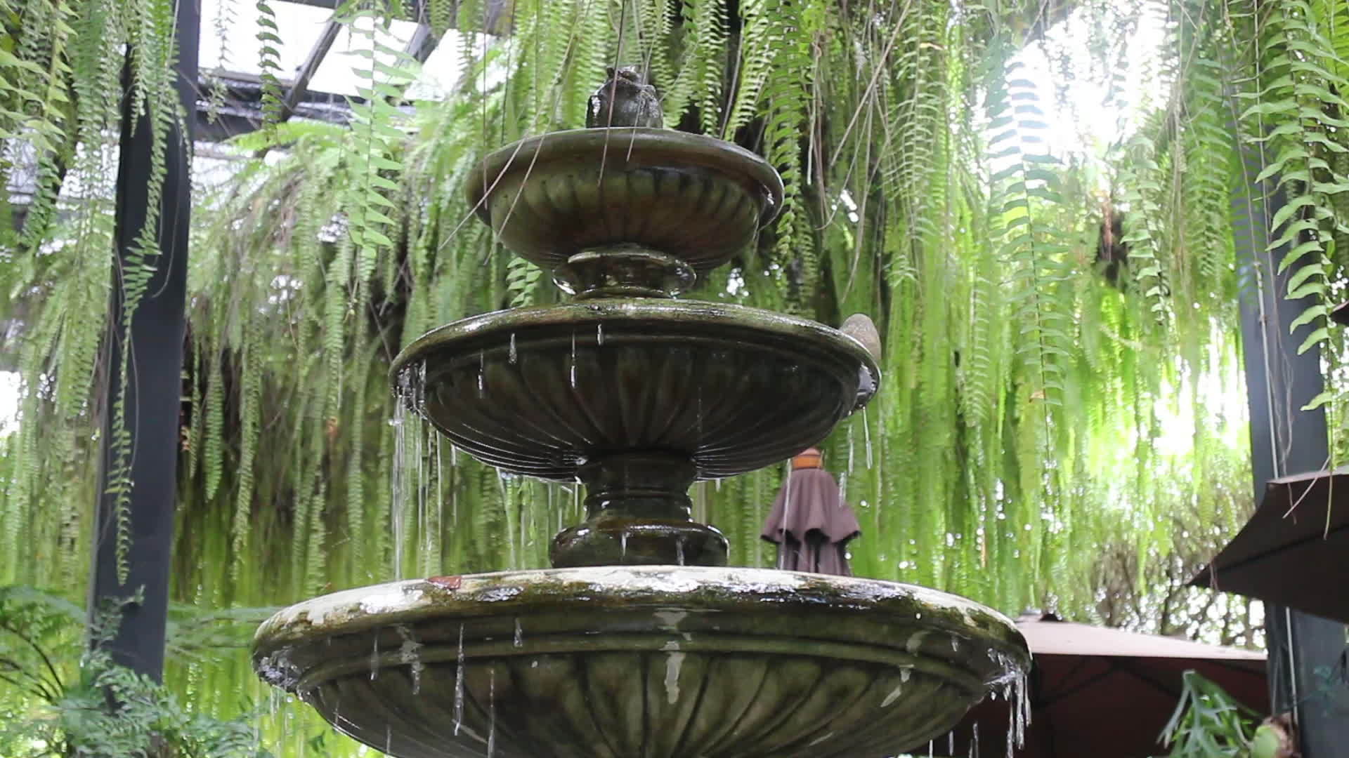 古老的花园喷泉风格视频的预览图