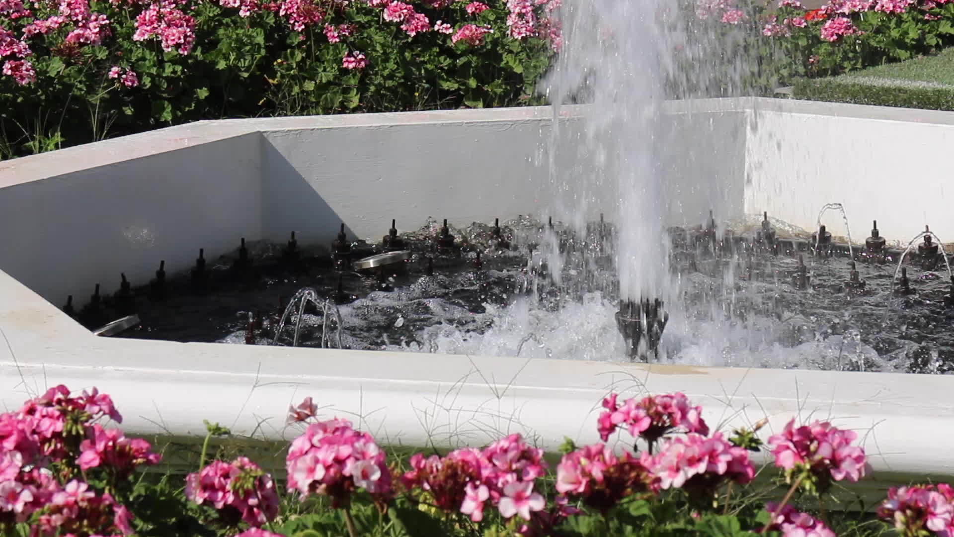 室外花园喷泉视频的预览图