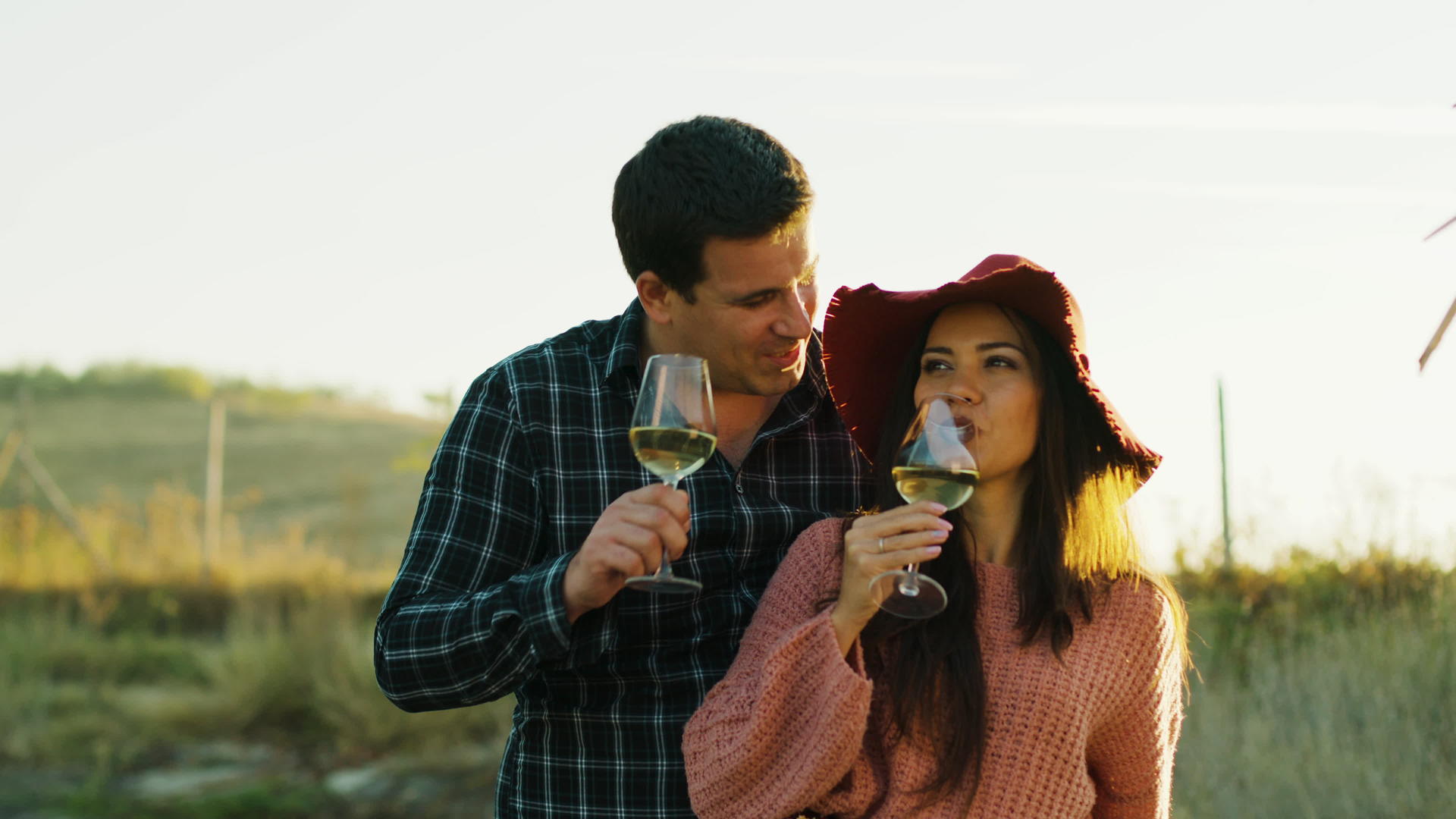 情侣们品尝美味的葡萄酒视频的预览图