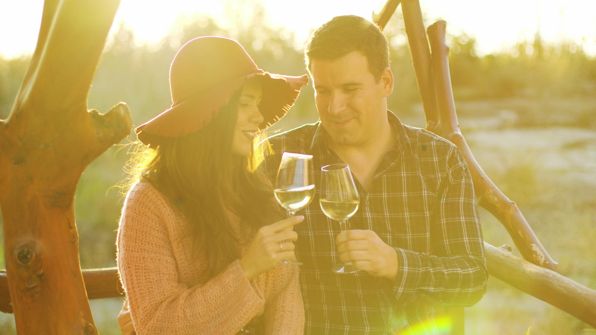 情侣们在浪漫的时刻品尝葡萄酒视频的预览图