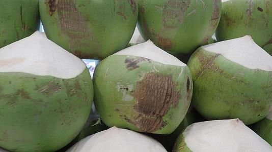新鲜采摘的椰子视频的预览图