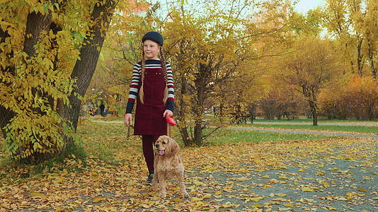 女孩站在秋天公园的皮带上十几岁的女孩和可卡犬视频的预览图