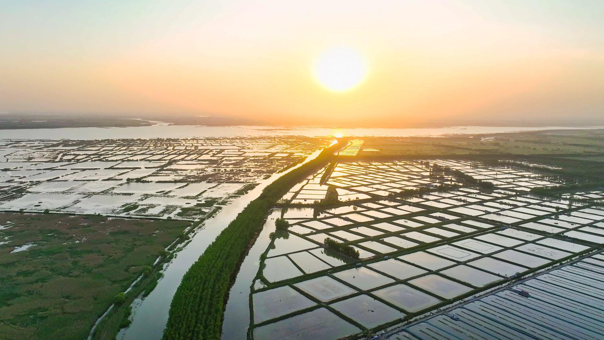 4K航拍水产养殖基地水产养殖夕阳美景视频的预览图