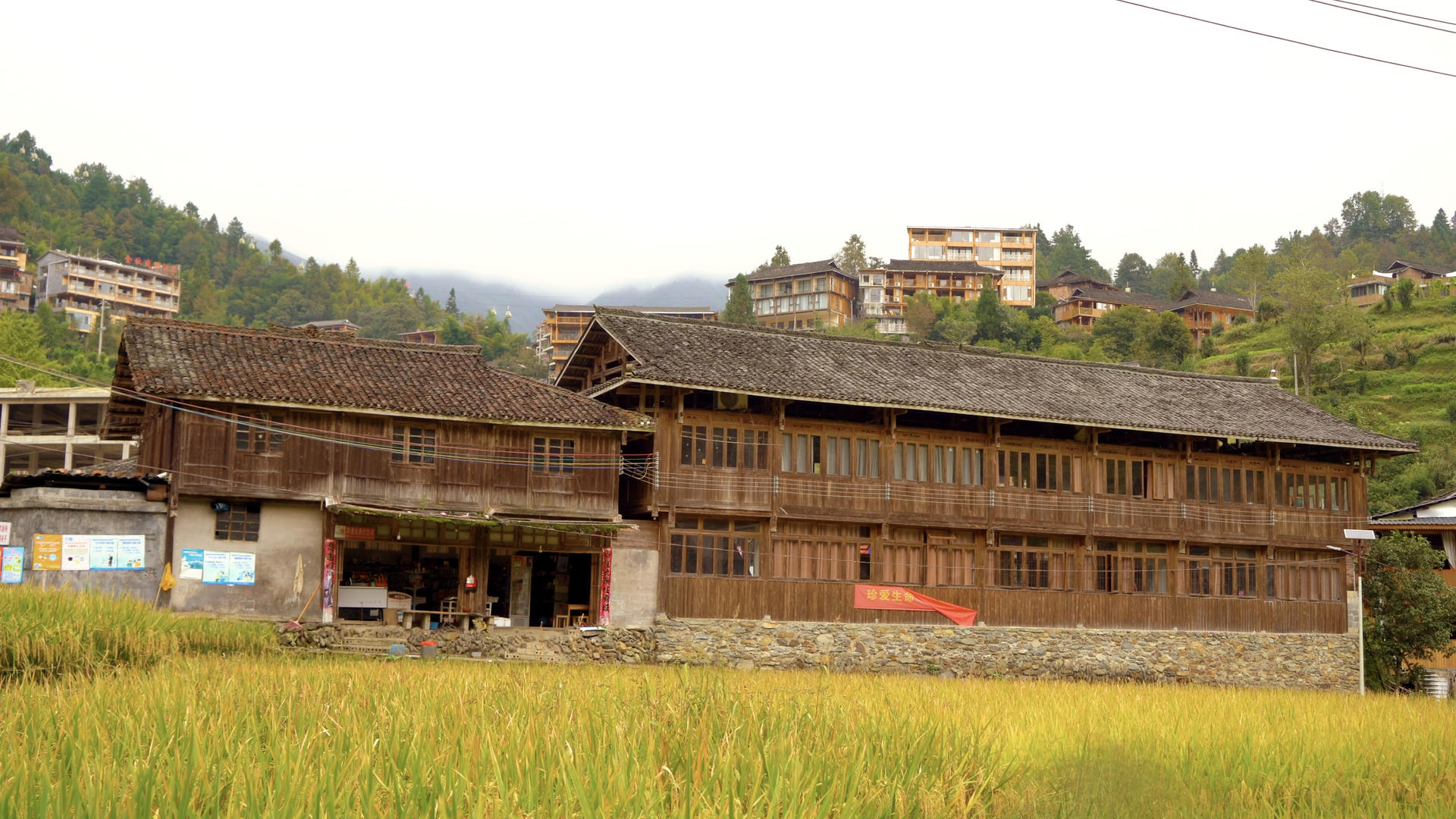 南方村寨里稻田旁的老房子视频的预览图
