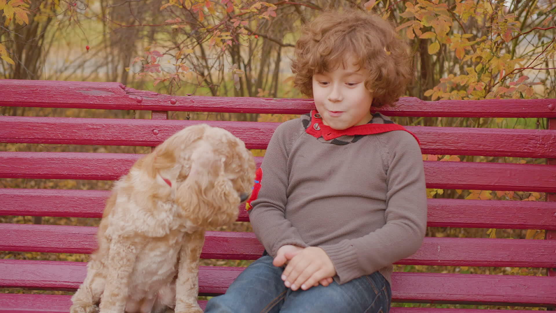 快乐的孩子坐在公园里的长椅上狗坐在公园里视频的预览图