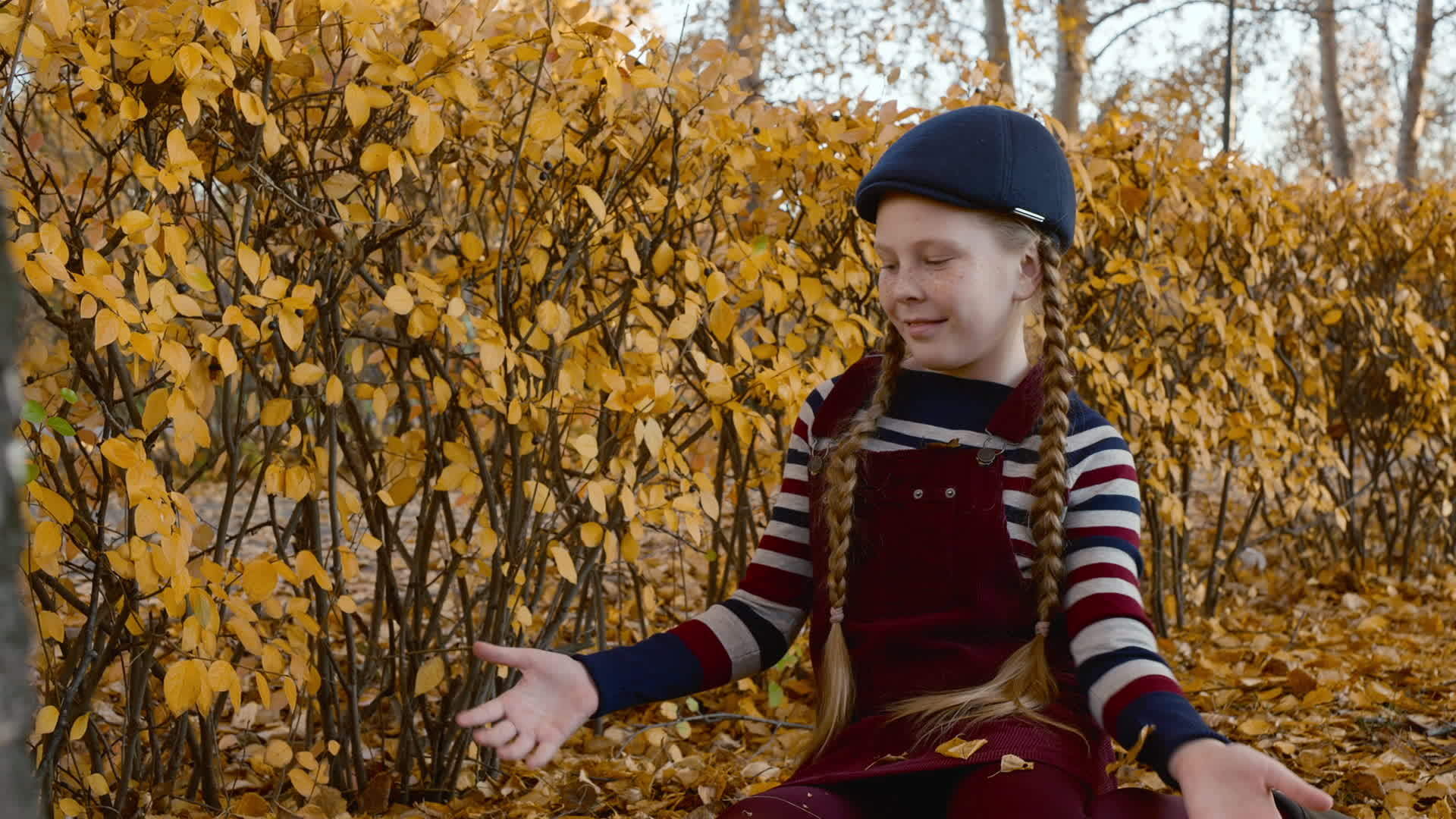红头发的孩子坐在公园里扔树叶视频的预览图