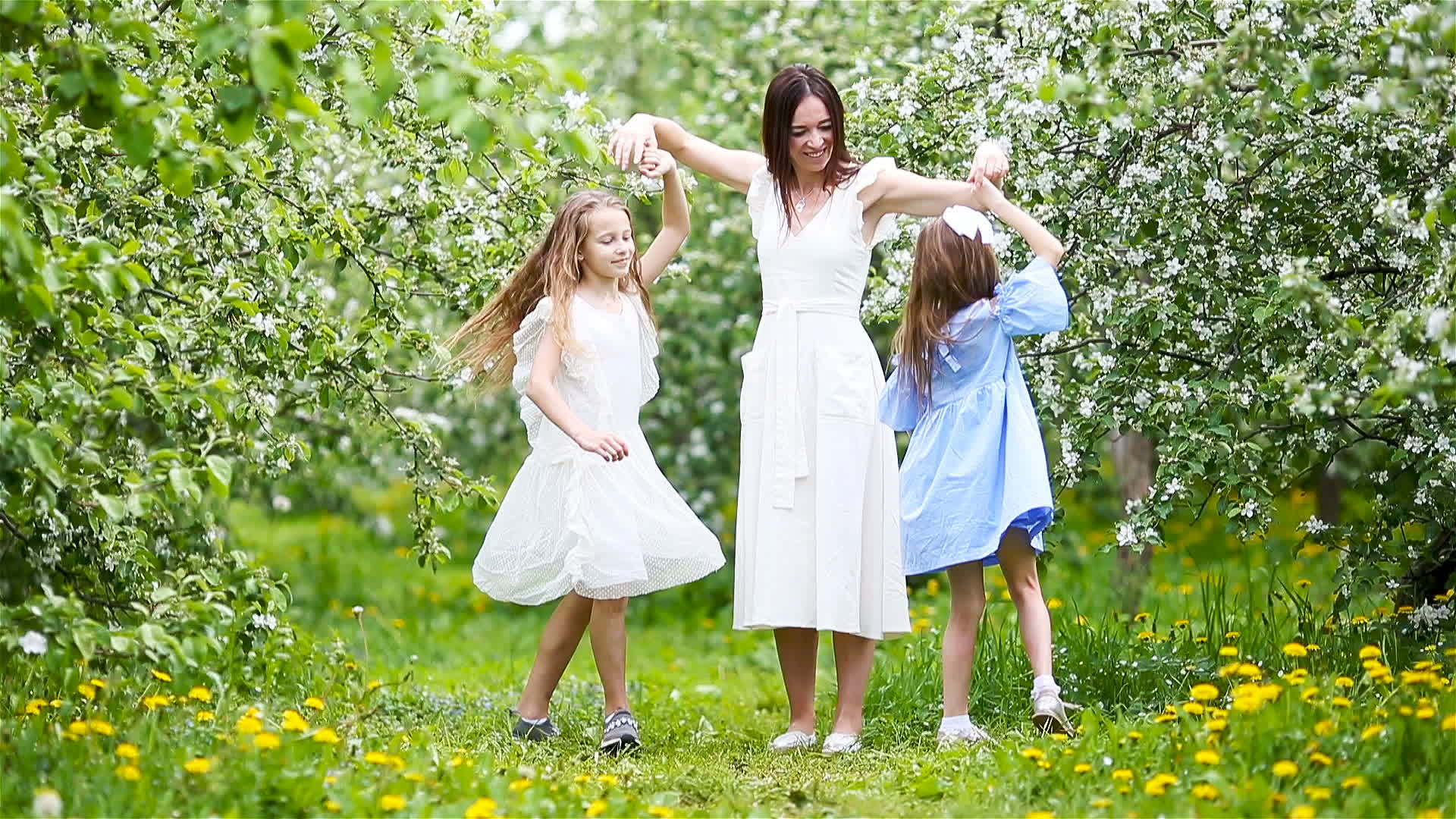 在美丽的春天盛开的樱桃园里可爱的小女孩带着年轻的母亲视频的预览图
