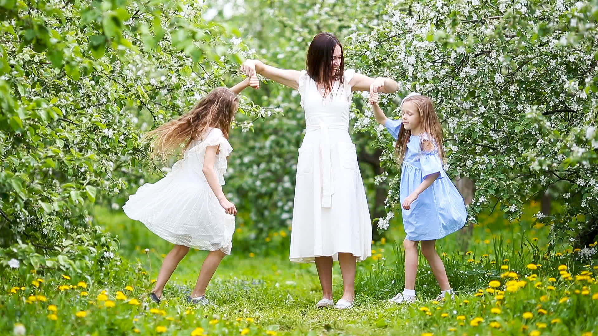 在美丽的春天盛开的樱桃园里可爱的小女孩带着年轻的母亲视频的预览图