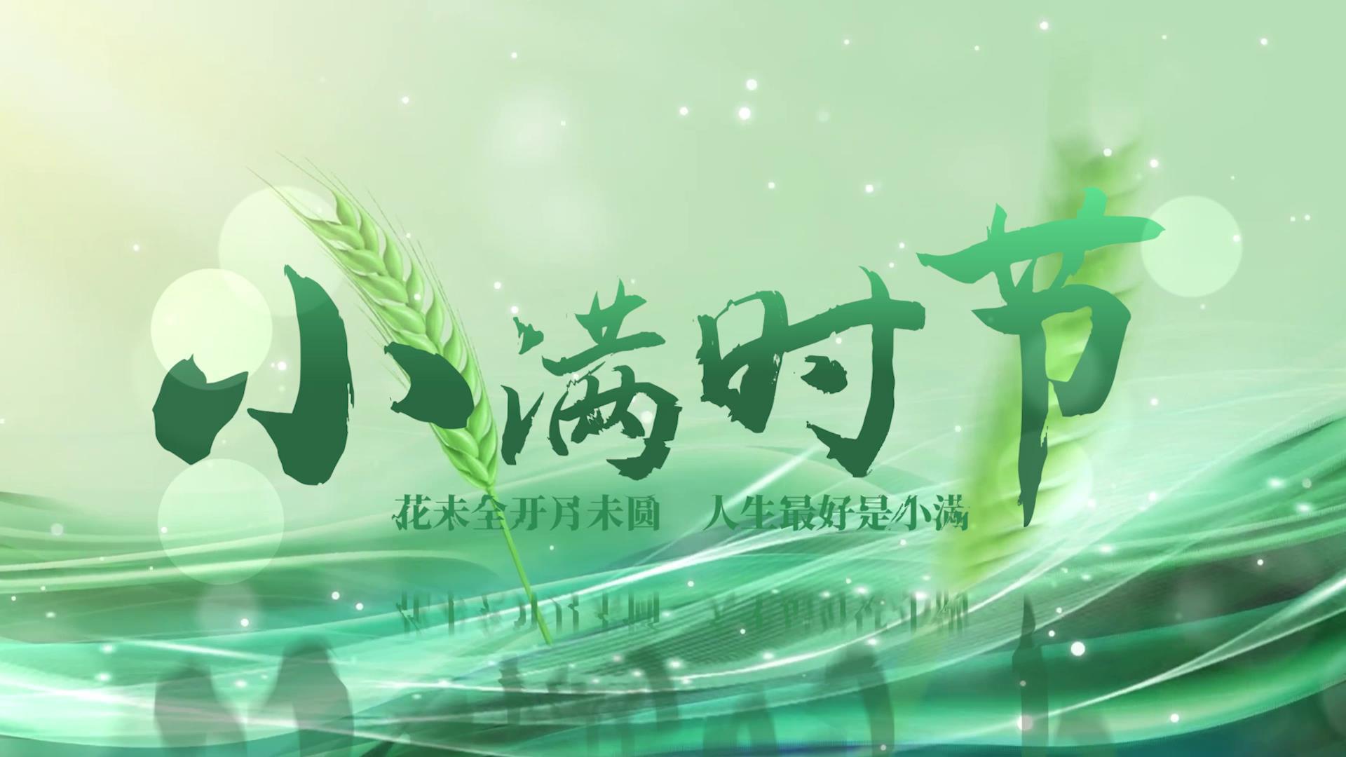 二十四节气小满片头展示视频的预览图