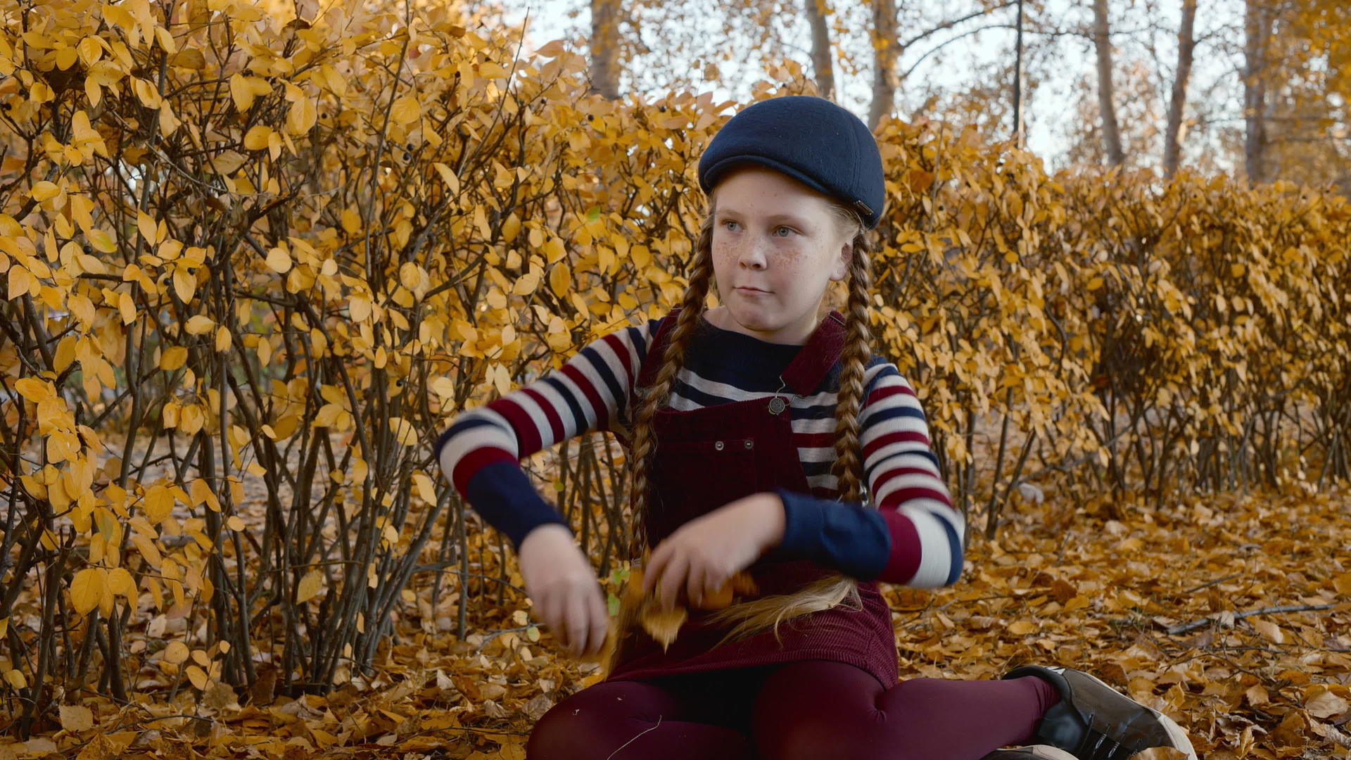 可爱的女孩红发辫子在秋天的公园里扔黄叶快乐的女孩视频的预览图