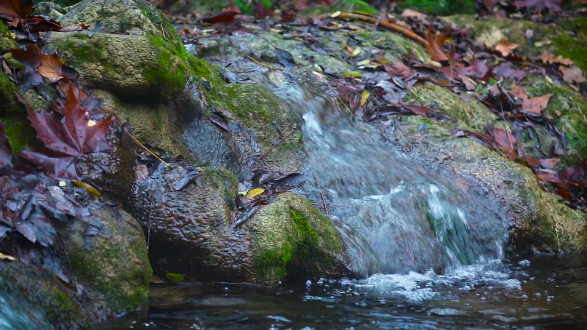 浮石泥石法朗瀑布视频的预览图
