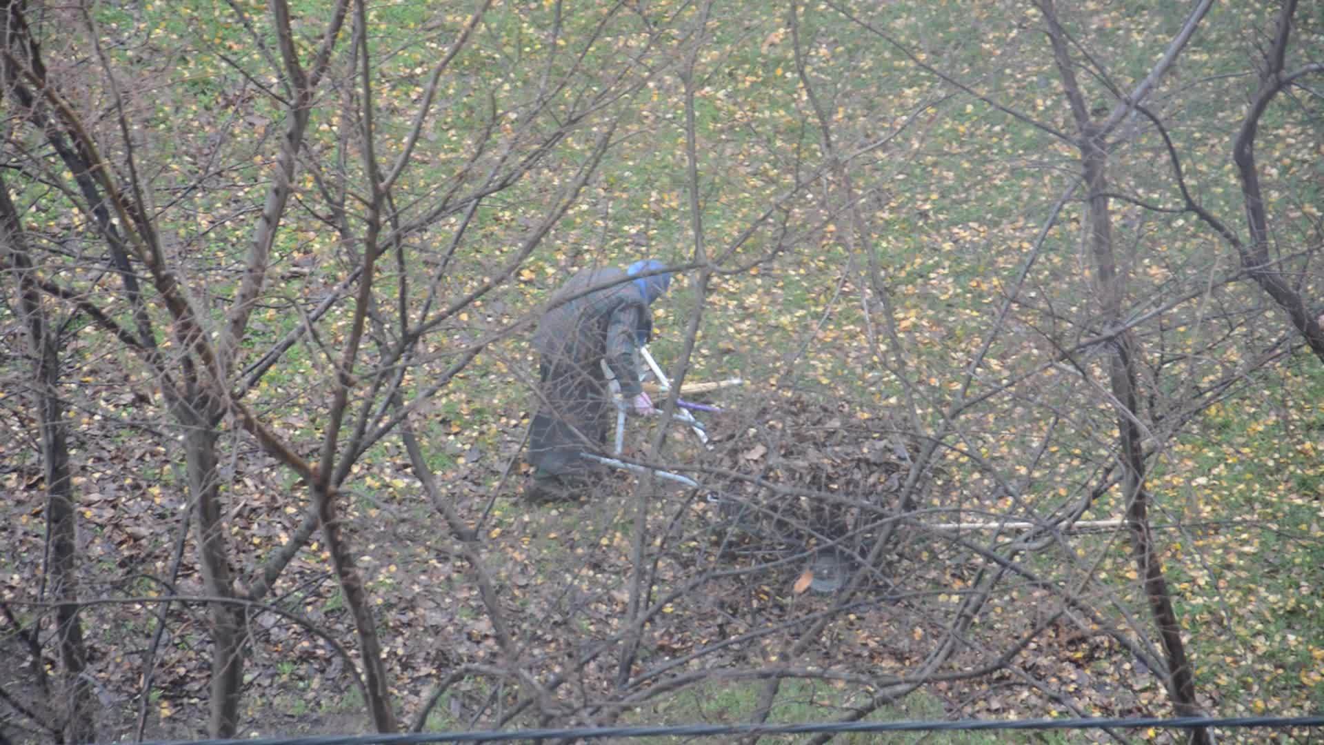 在公园里打扫花叶的老妇人视频的预览图
