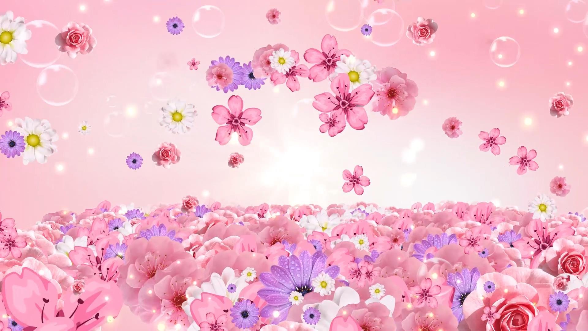 舞台背景唯美大气花朵花海动态视频元素视频的预览图