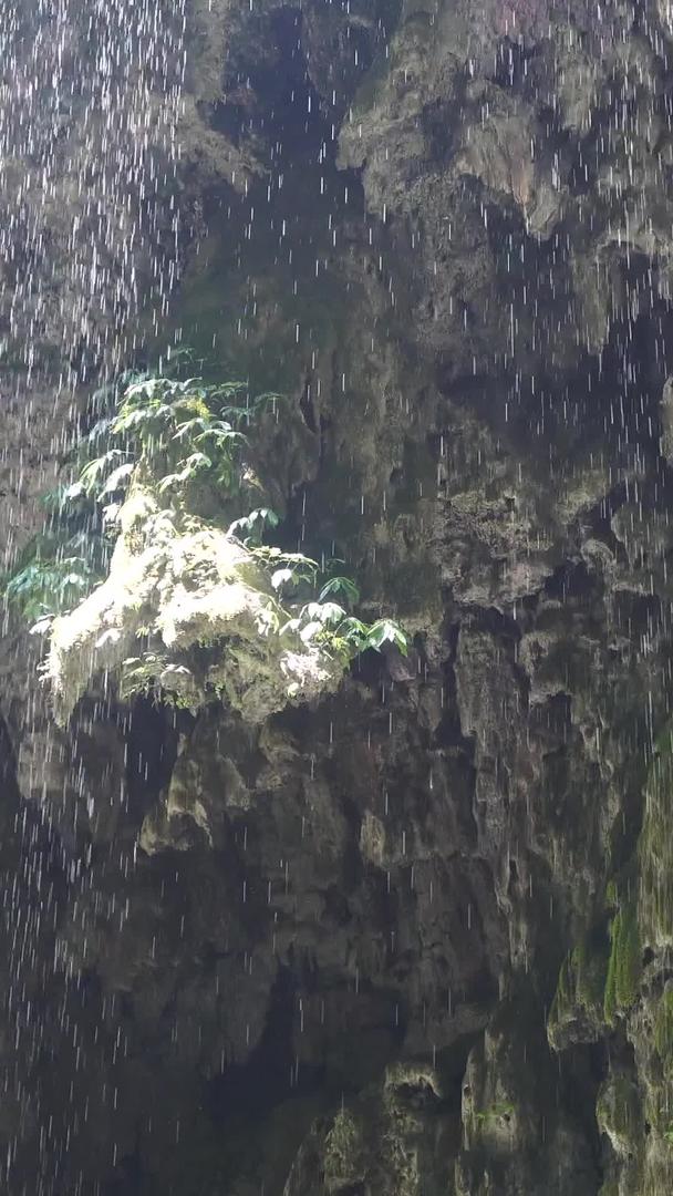 重庆黑山谷鹰爪岩国家5A级旅游景区特写视频的预览图