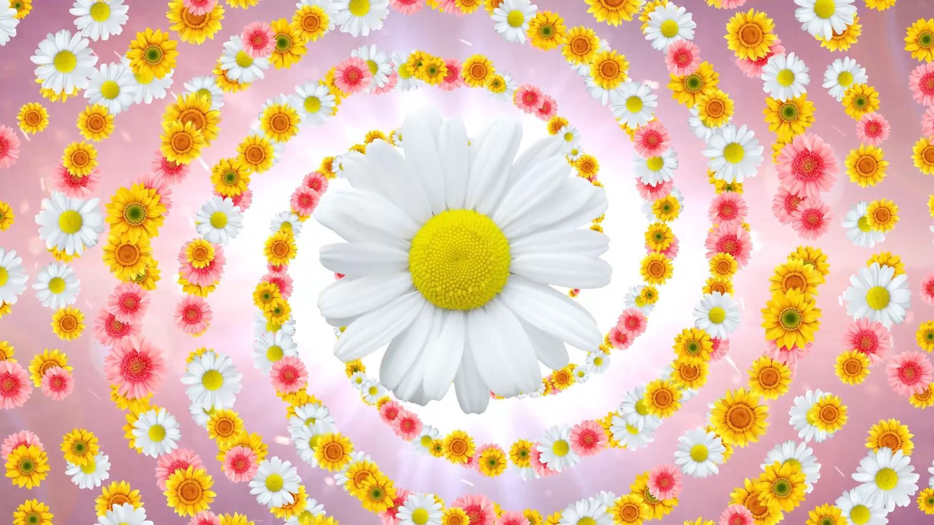 唯美花朵旋转动态背景视频元素视频的预览图