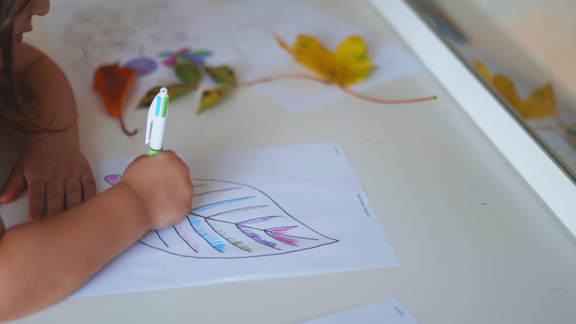 小女孩用笔把大叶子的颜色涂在纸上视频的预览图