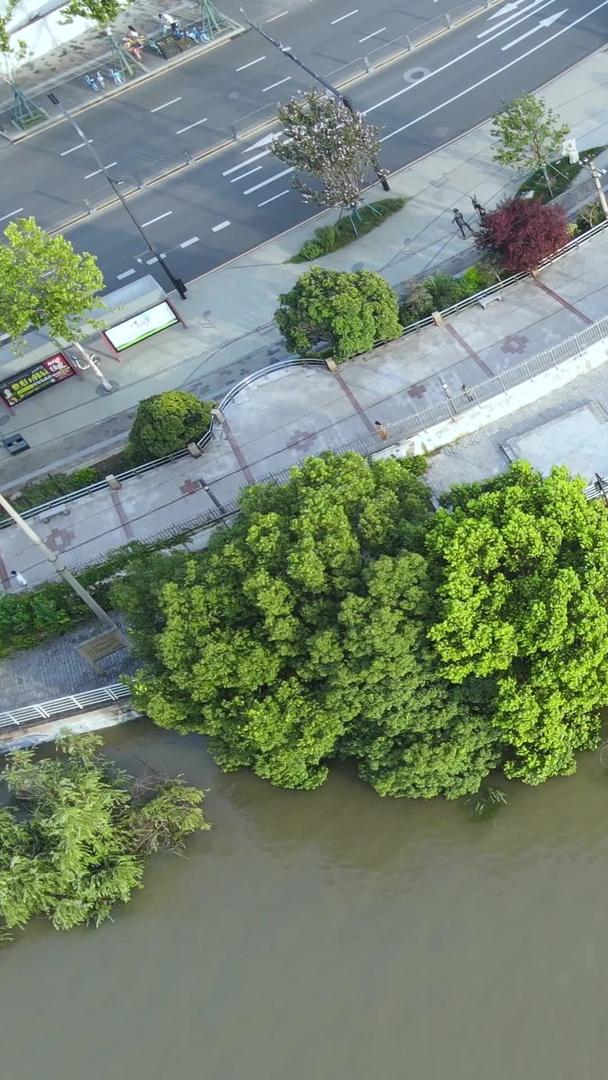 长江中下游汛期航拍防洪最大洪峰过境后被淹没的亭子防洪材料视频的预览图