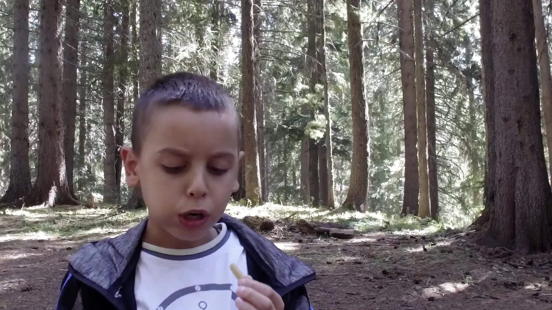 小男孩在山林野餐中吃薯片非常兴奋动作缓慢视频的预览图