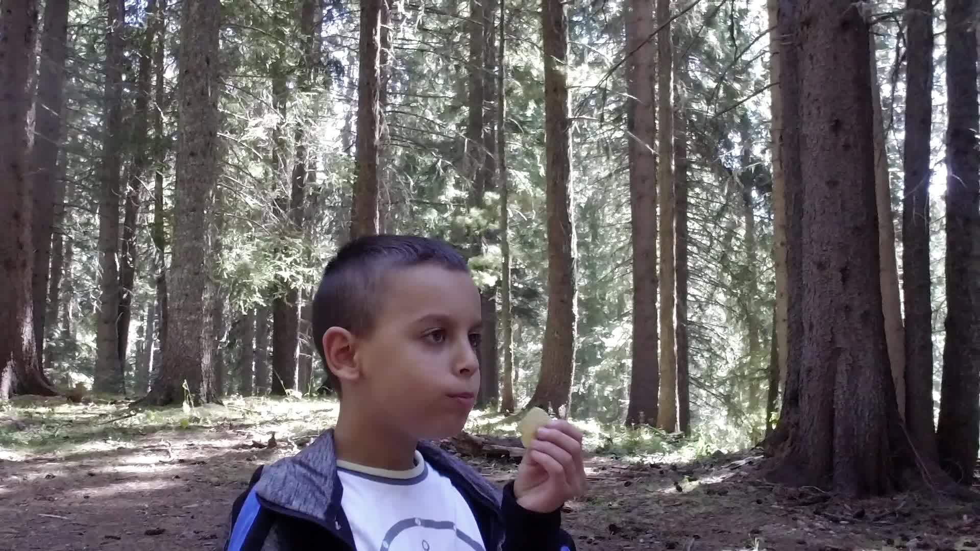 小男孩在森林里野餐时吃薯片视频的预览图