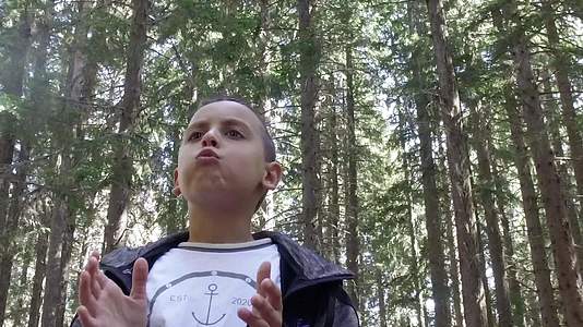 小男孩在森林里野餐时吃薯片视频的预览图