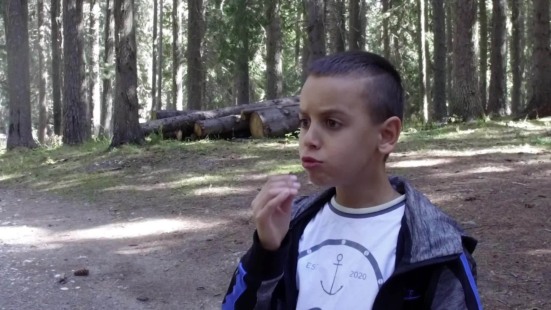 在森林餐时小男孩急切地吃薯片慢慢动作视频的预览图