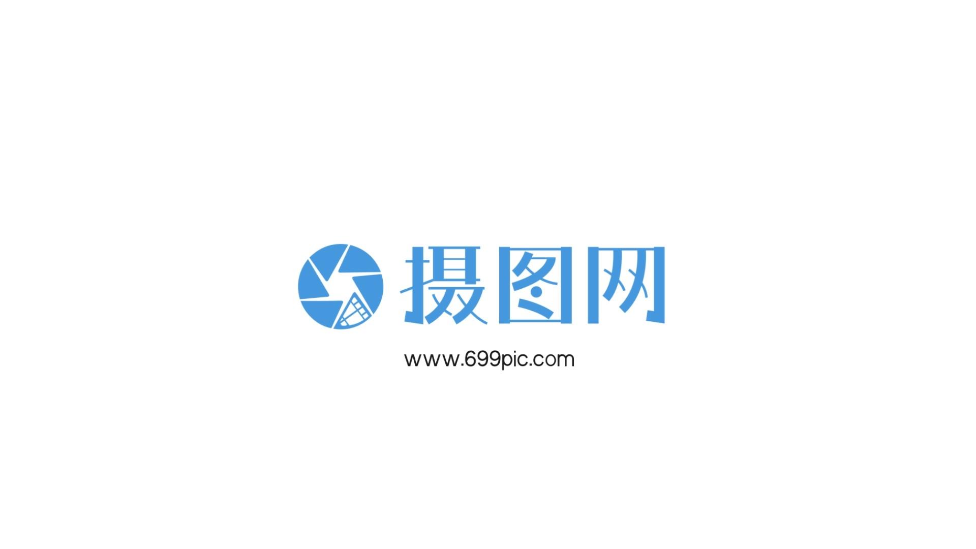 简约丝绸logo演绎AE模板视频的预览图