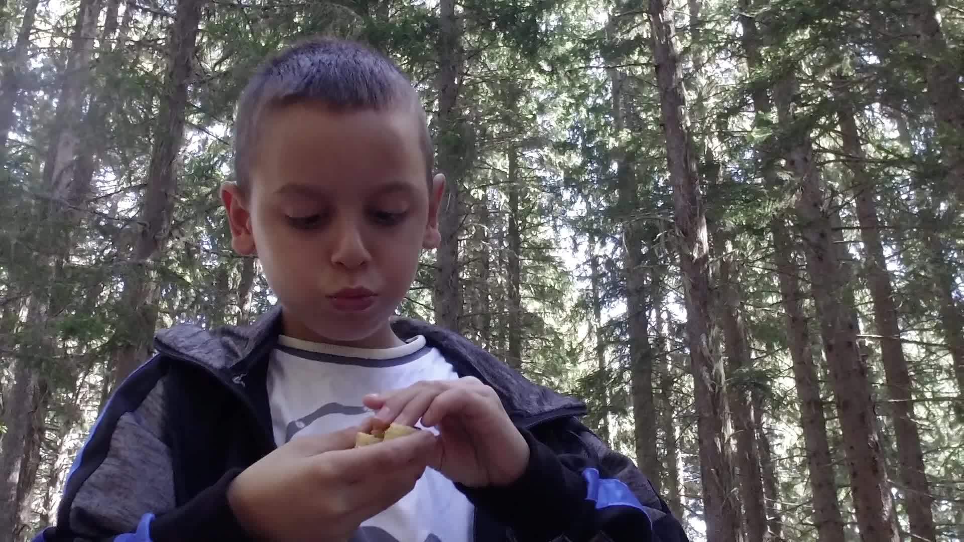 小男孩在山林野餐上热切地吃薯片视频的预览图