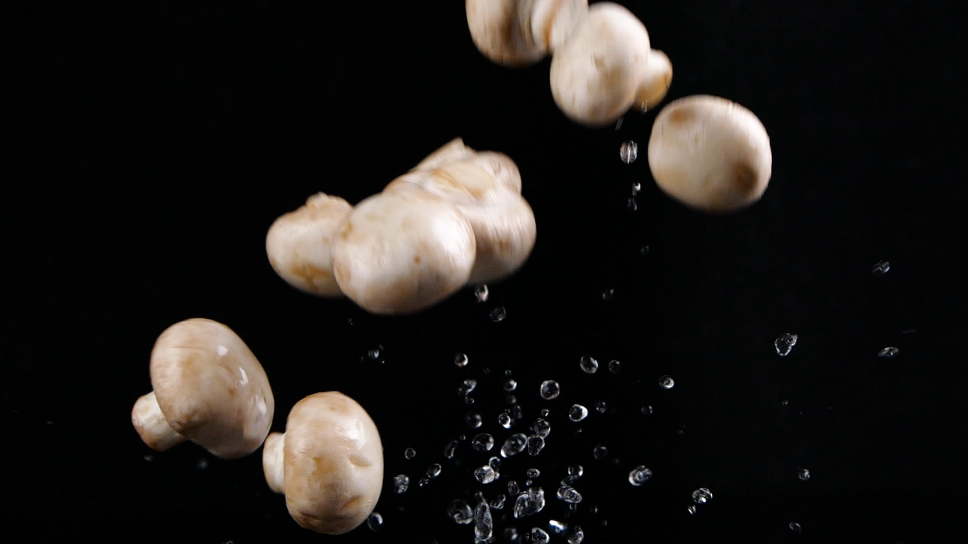 升格白蘑口蘑蔬菜菌类白蘑菇视频的预览图