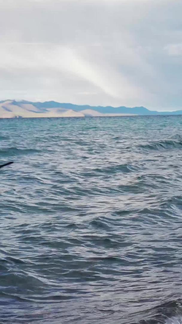 纳木措江湖海边红嘴鸽视频的预览图