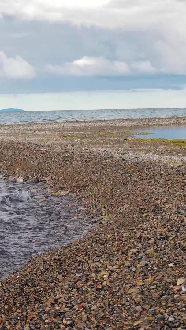 纳木措江湖海边红嘴鸽视频的预览图