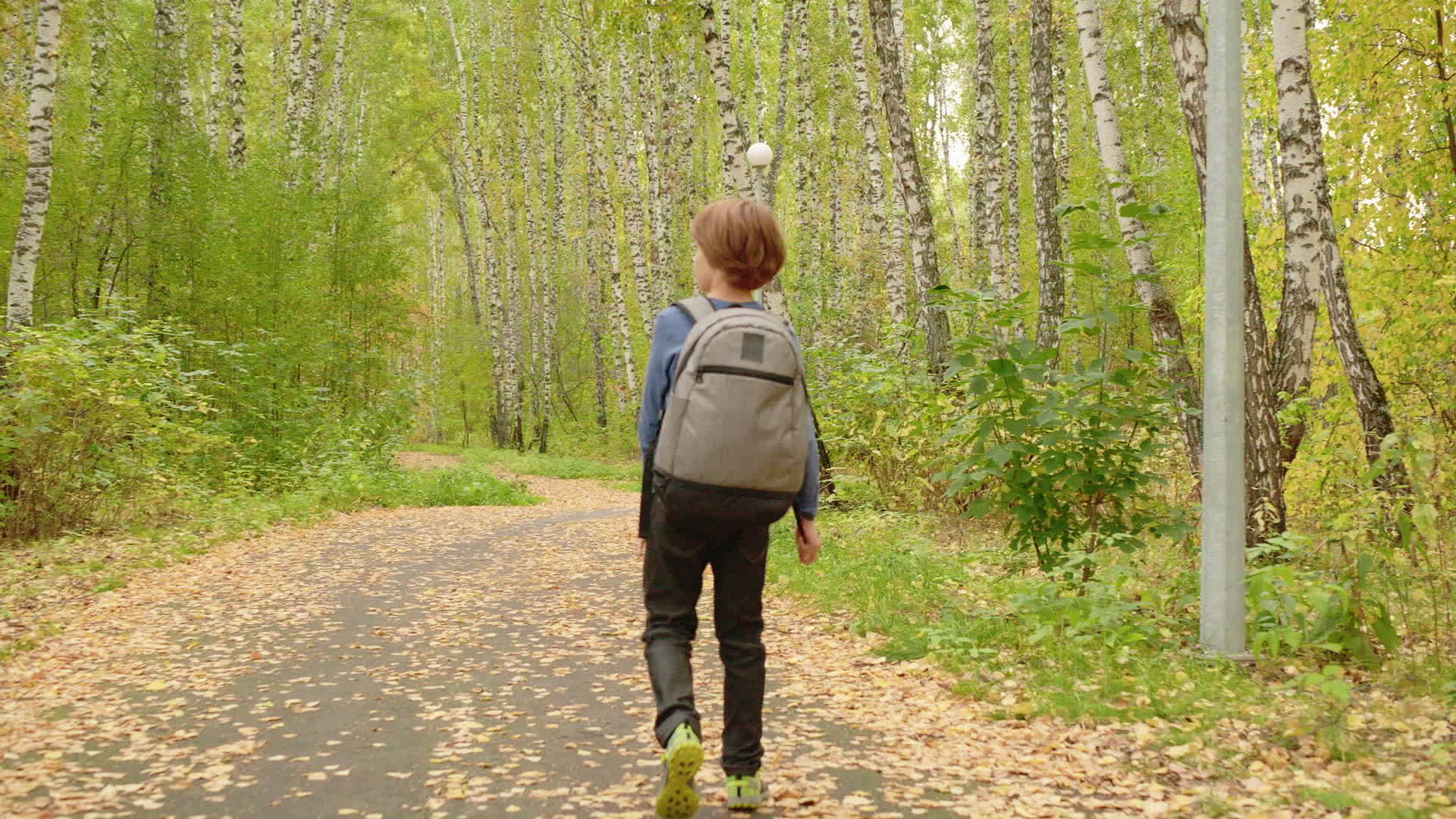 孩子们背着背包走在秋林里视频的预览图