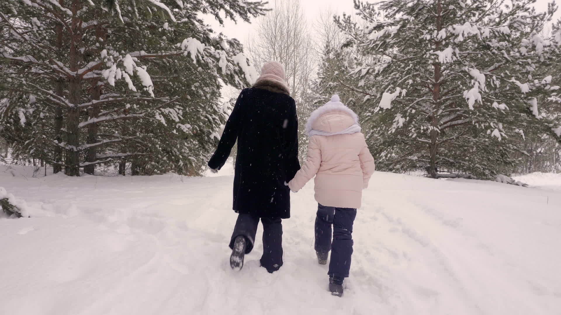 母亲和女儿在树林里走来走去视频的预览图