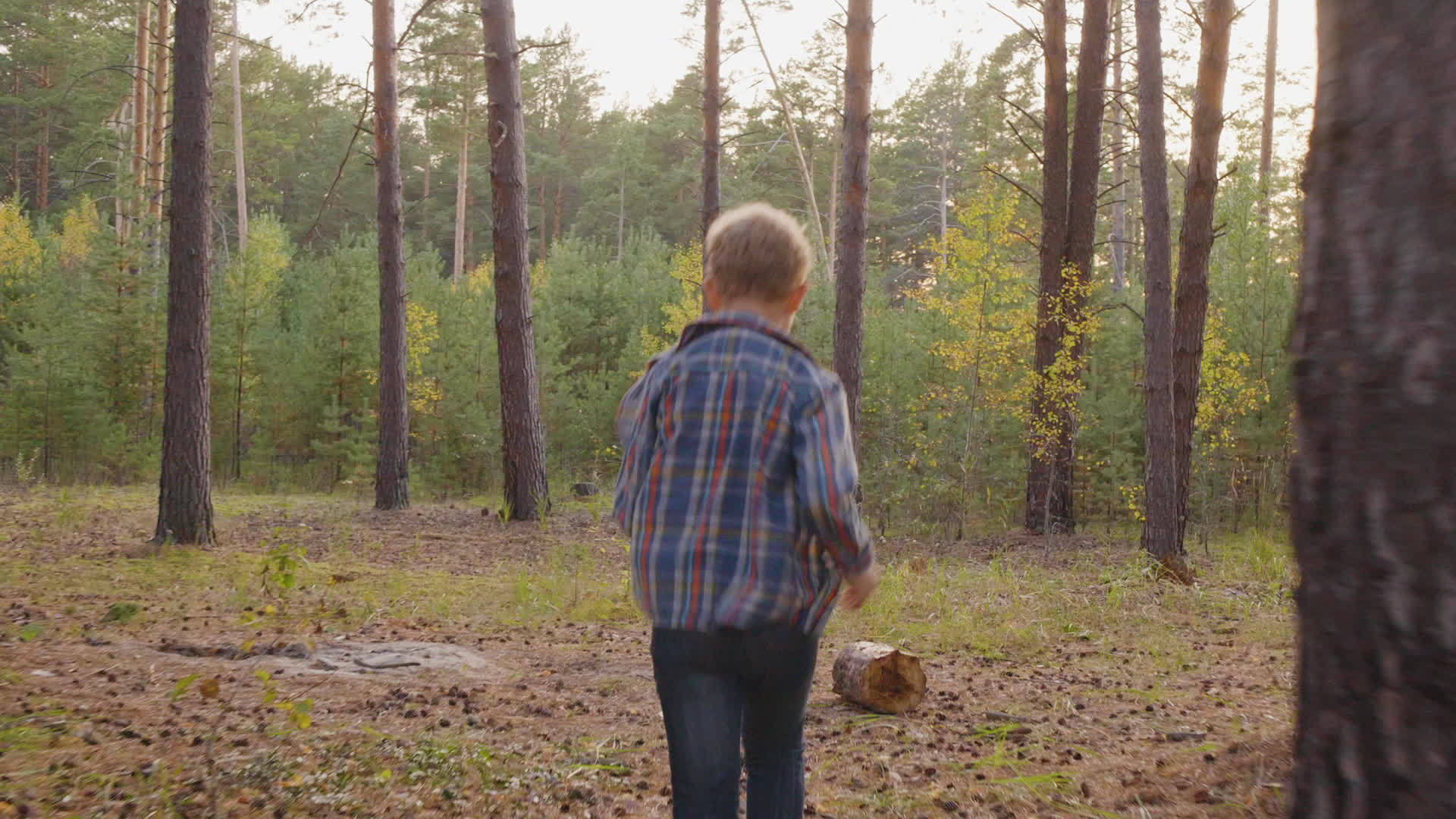 青少年在美丽的森林里奔跑视频的预览图