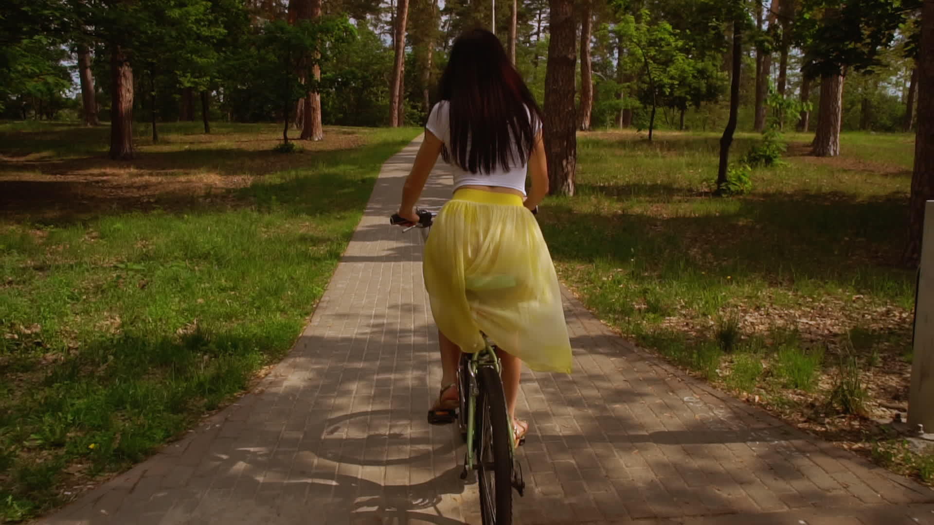 骑自行车和骑自行车的女性阳光视频的预览图