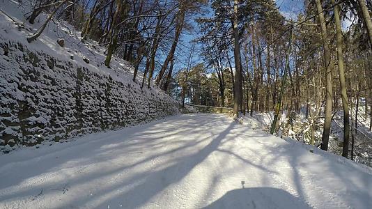 冬季道路穿过森林后摄像头视频的预览图
