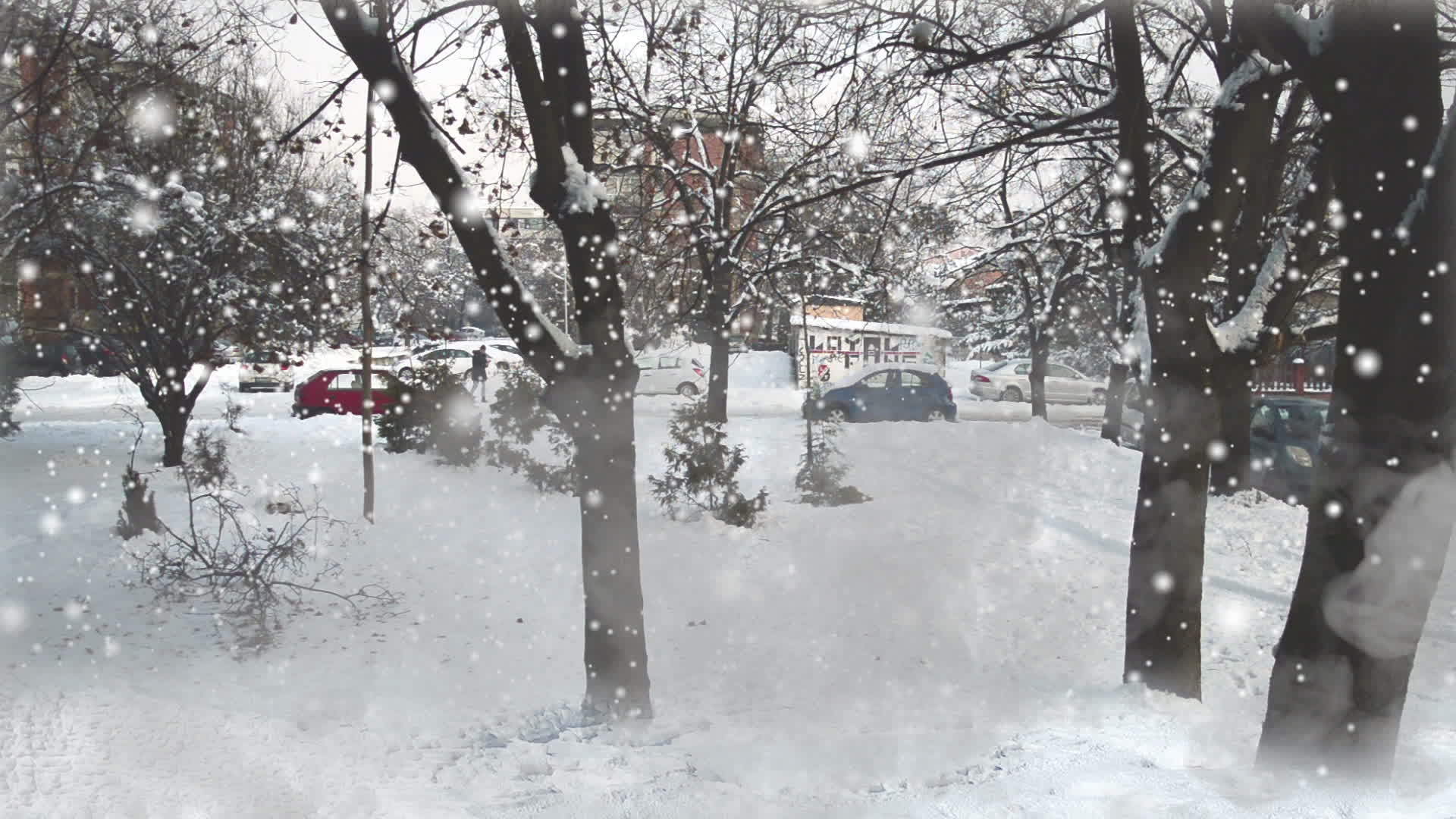 冬天雪树前有烟雾污染视频的预览图